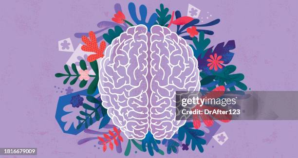 human brain hemispheres - cerebral hemisphere 幅插畫檔、美工圖案、卡通及圖標