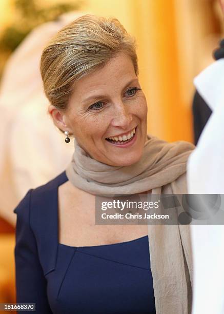 Sophie, Countess of Wessex smiles at a reception before leading a tour of ORBIS Flying Eye Hospital at Doha International Airport on day 2 of her...