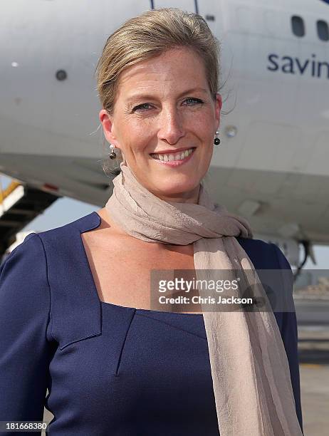 Sophie, Countess of Wessex poses in front of the ORBIS Flying Eye Hospital at Doha International Airport after taking Qatari donors on a tour of the...
