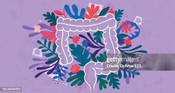 ilustrações, clipart, desenhos animados e ícones de cólon humano - intestino grosso