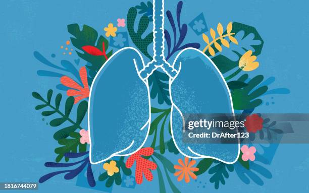 menschliche lunge - atmungsorgan stock-grafiken, -clipart, -cartoons und -symbole