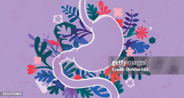 illustrazioni stock, clip art, cartoni animati e icone di tendenza di stomaco umano - stomaco