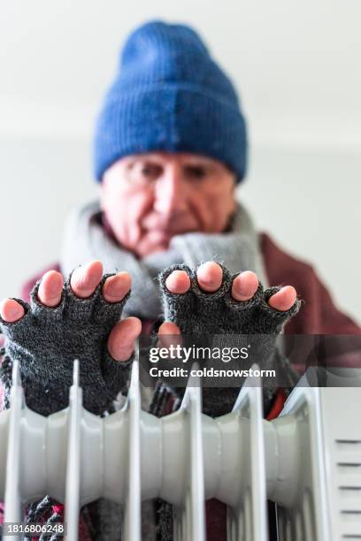 894 People Sitting On Radiator Stock Photos, High-Res Pictures, and ...