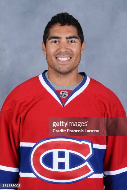 Francis Bouillon of the Montreal Canadiens poses for his official headshot for the 2013-2014 season on September 11, 2013 at the Bell Sports Complex...