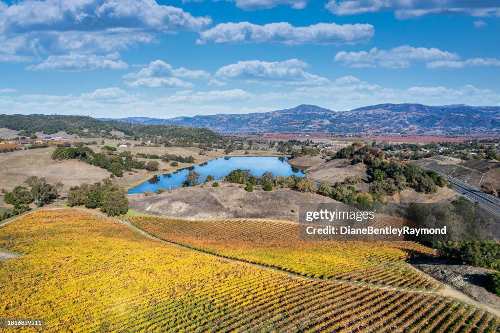Aerial View of Vineyards with Fall Colors