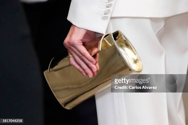Queen Letizia of Spain, bag detail, attends the 40th "Francisco Cerecedo" Journalism Awards on November 27, 2023 in Madrid, Spain.