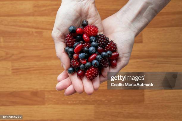 hands holding a handful of foraged wild berries creating a heart shaped design. - salmonberry stock pictures, royalty-free photos & images