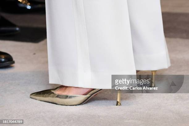 Queen Letizia of Spain, shoes detail, attends the 40th "Francisco Cerecedo" Journalism Awards on November 27, 2023 in Madrid, Spain.