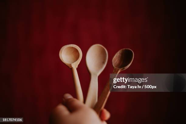 cropped hand holding spoon against red background,belarus - wooden spoon stock pictures, royalty-free photos & images