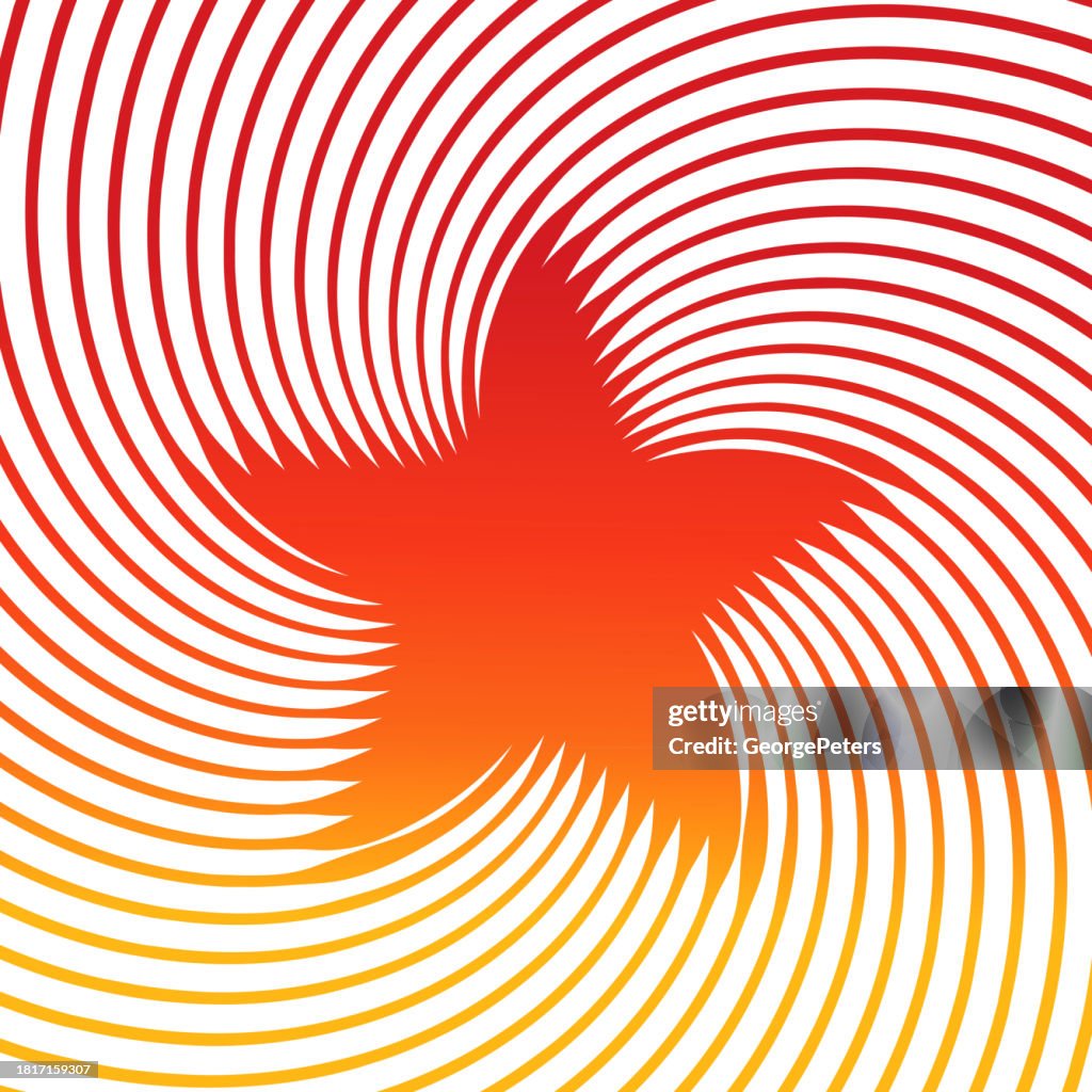 Shape Using Star Star Shape High-Res Vector Graphic - Getty Images