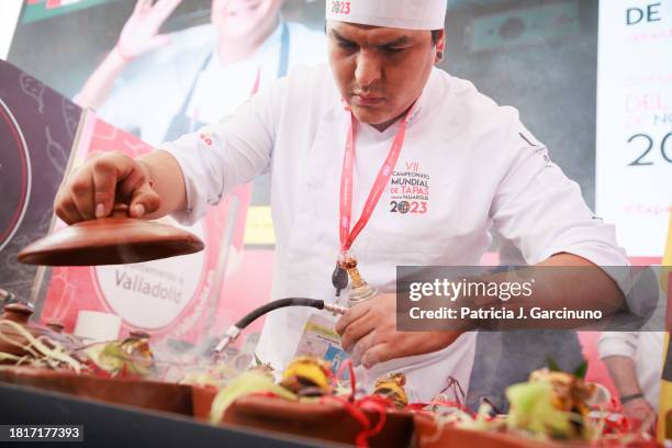 Chef Ralf Zúñiga Accostupa of Xoma restaurant at Miraflores , contestant of the VII World Tapas Competition "City of Valladolid", cooks during the...