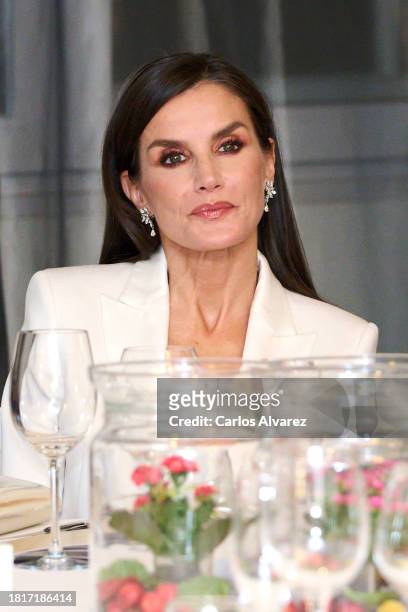 Queen Letizia of Spain attends the 40th "Francisco Cerecedo" Journalism Awards at the Palace Hotel on November 27, 2023 in Madrid, Spain.