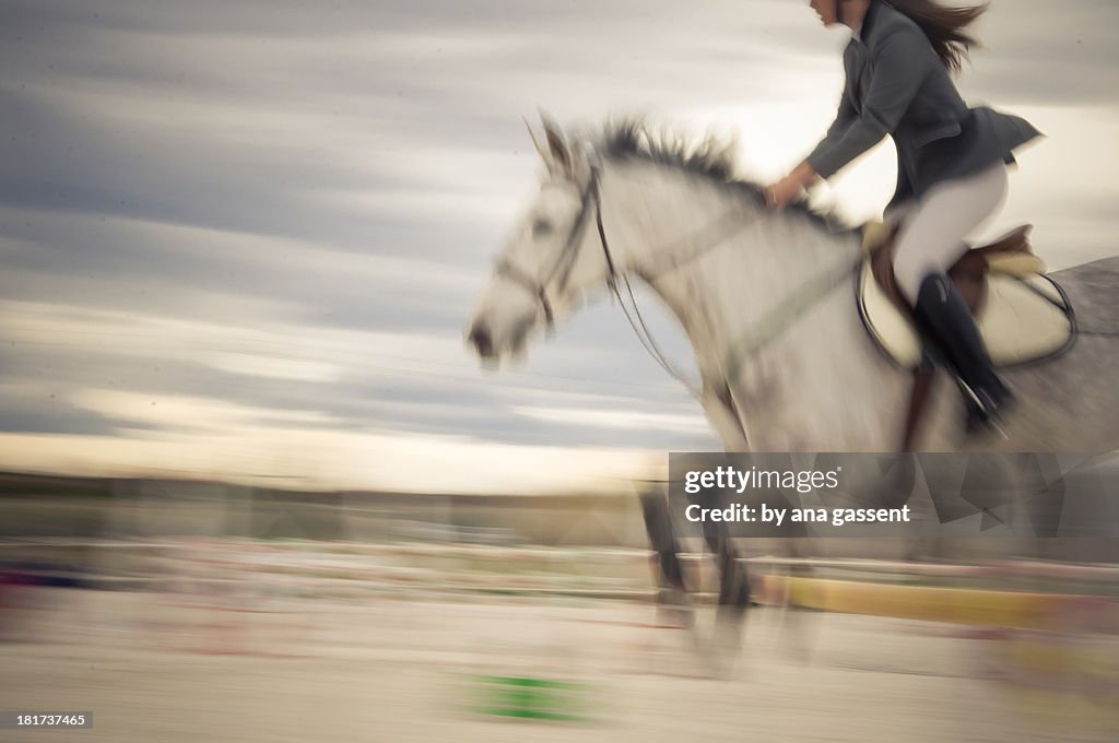 Equestrian show jump