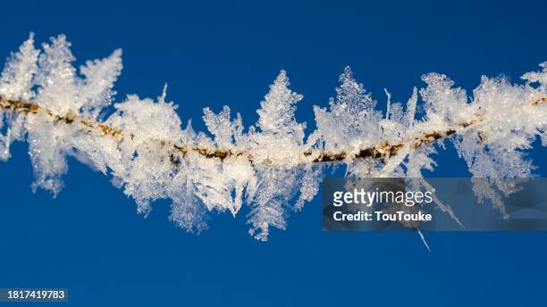 a natural chain - rime ice stock pictures, royalty-free photos & images