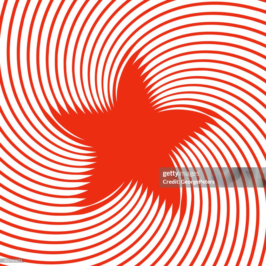 Shape Using Star Star Shape High-Res Vector Graphic - Getty Images