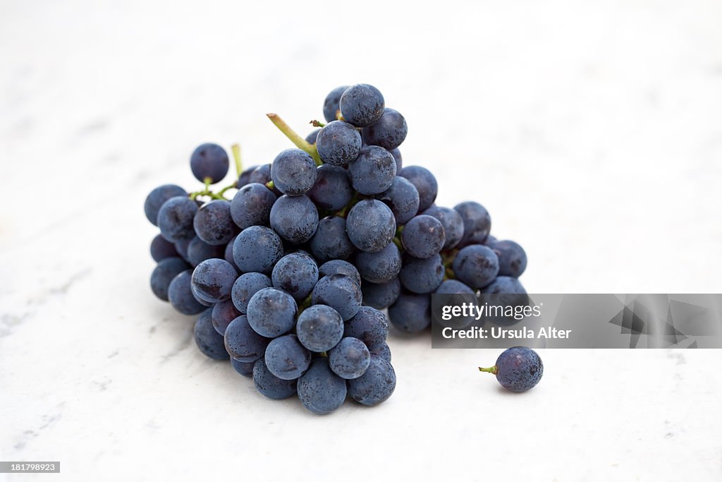 Blue grape on white marble