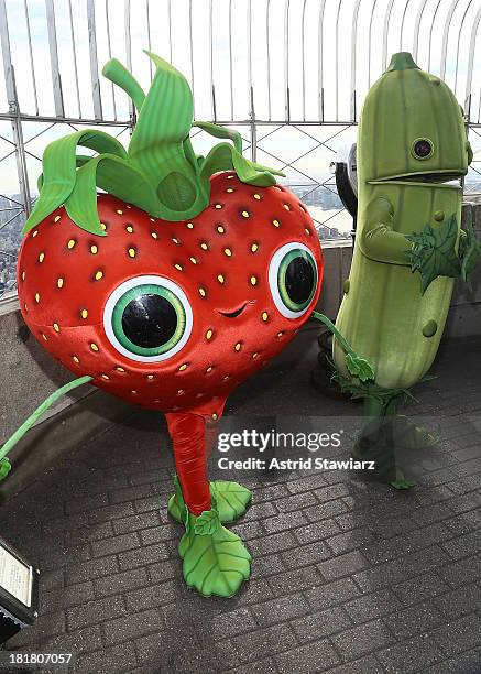 Actor Bill Hader visits The Empire State Building in celebration Of "Cloudy With A Chance Of Meatballs 2" release on September 25, 2013 in New York...