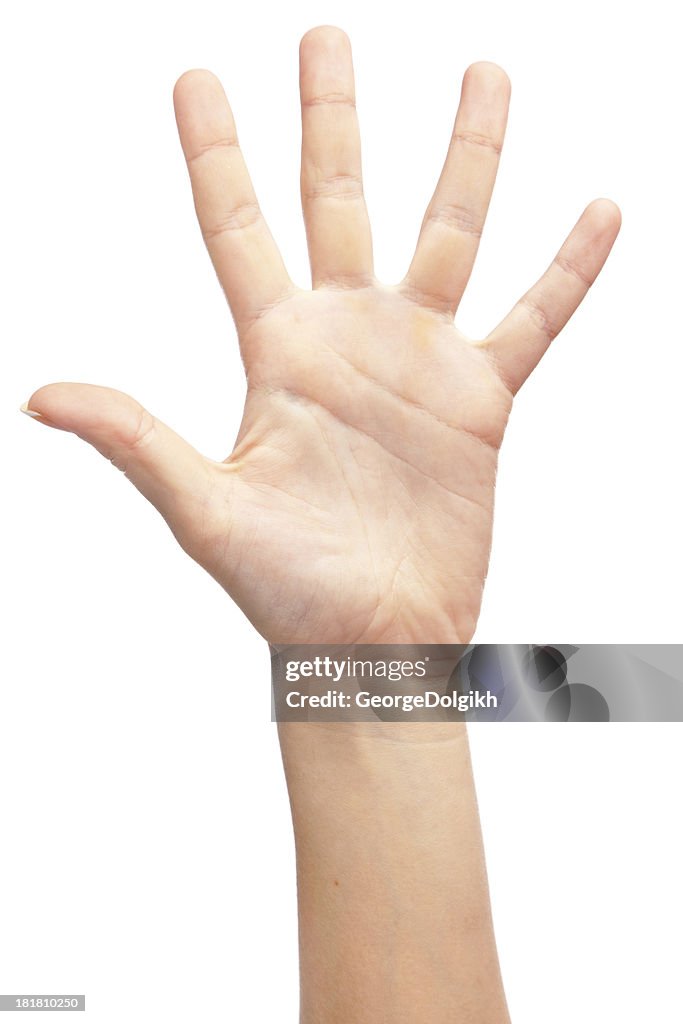 Female hand isolated on white background