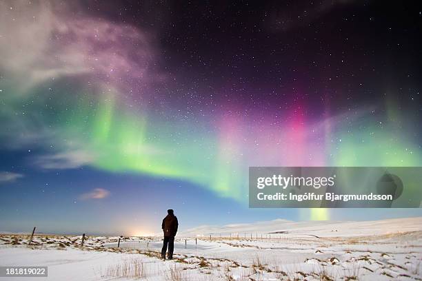 stop and stare - polarlicht stock-fotos und bilder