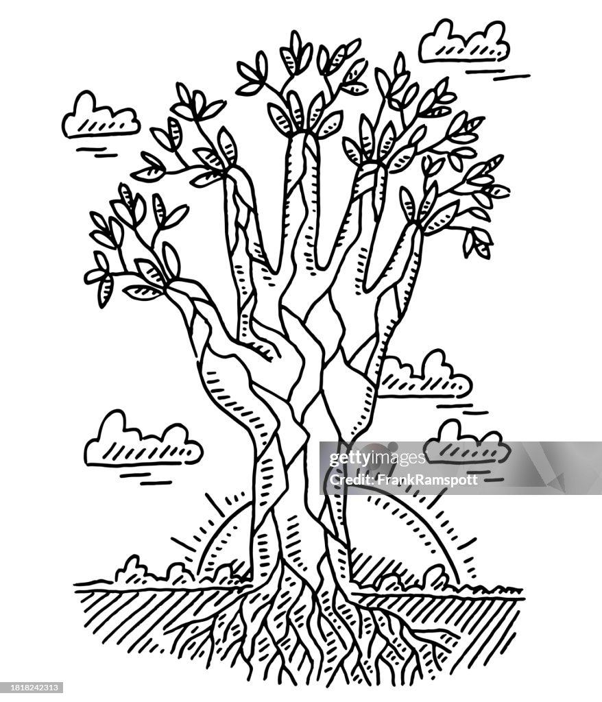 Hand Tree Roots Symbol Drawing High-Res Vector Graphic - Getty Images