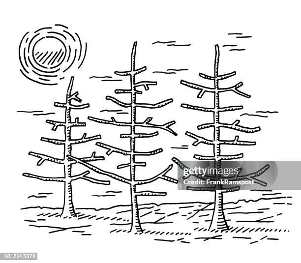 dead trees drought landscape drawing - dead tree stock illustrations