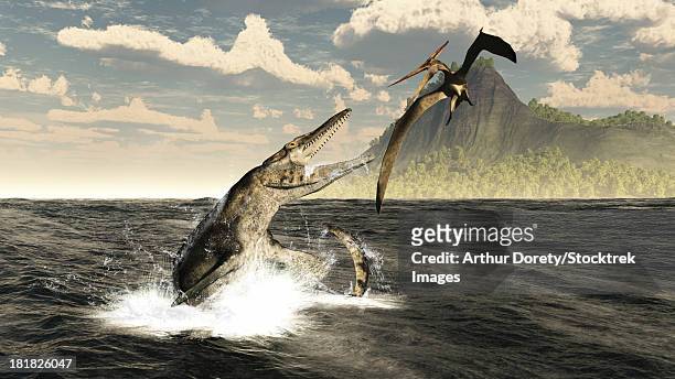 a tylosaurus jumps out of the water, attacking a pteranodon during the mid-cretaceous period in the central sea spanning north america from canada to mexico.  - mosasaurus stock illustrations