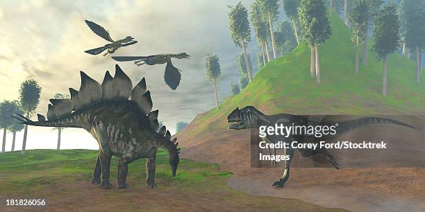 two archaeopteryx birds call in alarm as an allosaurus attacks an unaware stegosaurus dinosaur. - allosaurus stock illustrations