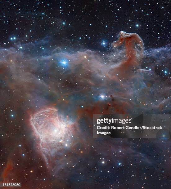 the star-forming region ngc 2024 in the constellation orion. - nebulosa cabeza de caballo fotografías e imágenes de stock