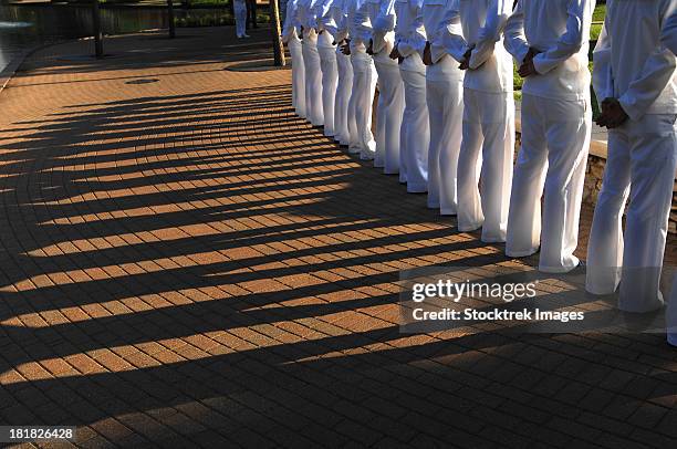 Parade Rest 33 Military Stand Parade Rest Stock Photos, High-Res Pictures, and ...