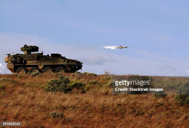 soldiers from 3rd stryker brigade, 2nd infantry division, launch a tow missile during tow gunnery training at yakima training center.   - 軍用陸上交通工具 個照片及圖片檔