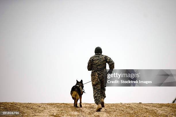 a dog handler and his military working dog take a brisk walk. - military dog stock pictures, royalty-free photos & images