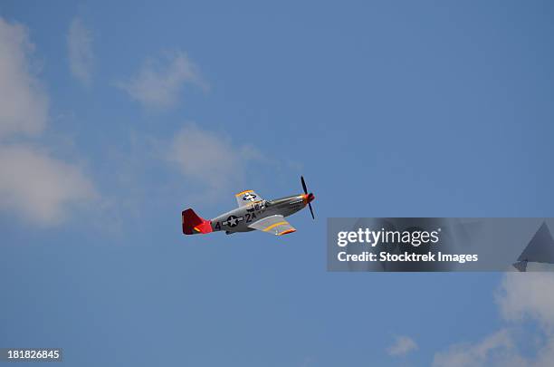 a restored p-51 mustang associated with the tuskegee airmen in flight over florida. - p 51 mustang stockfoto's en -beelden