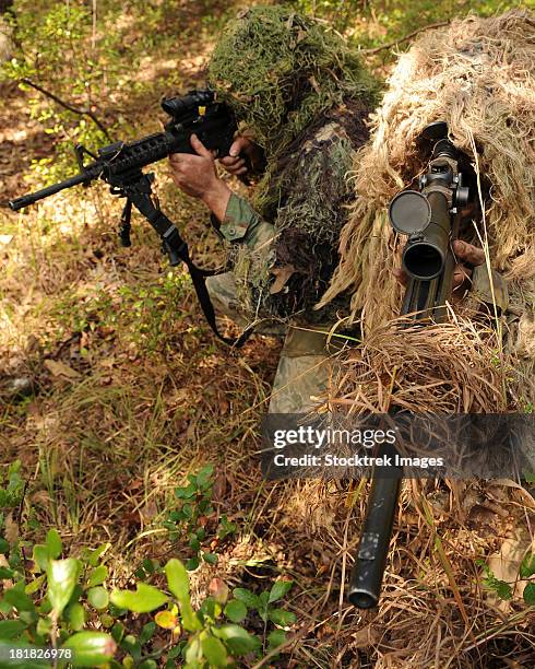 sharpshooters sneak through the forest in their ghillie suits. - scanning awareness reconnaisance stockfoto's en -beelden