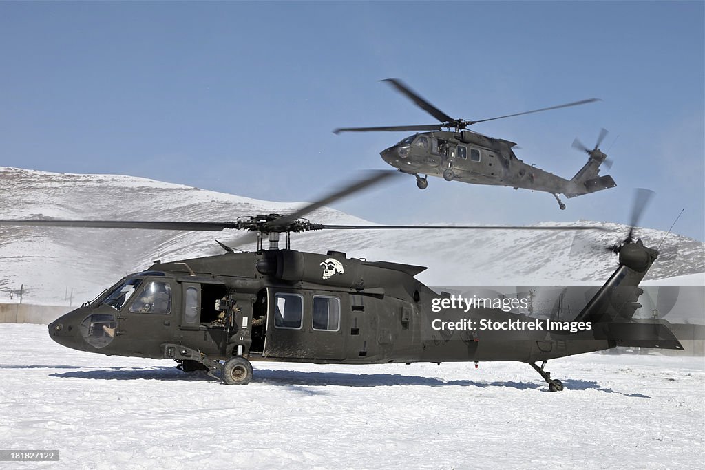 Two U.S. Army UH-60 Black Hawk helicopters.