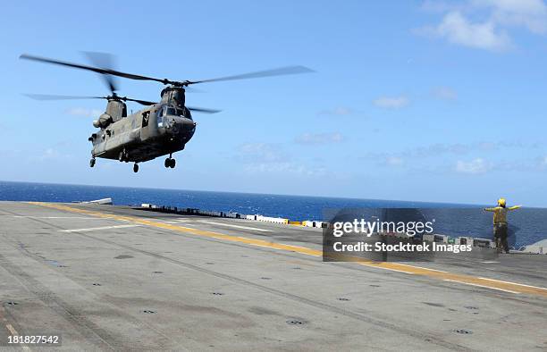 a ch-47 chinook helicopter landing aboard uss wasp. - chinook stock-fotos und bilder