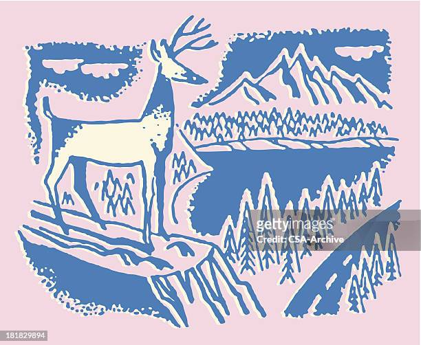 buck standing on a cliff in mountain range - wildlife reserve stock illustrations