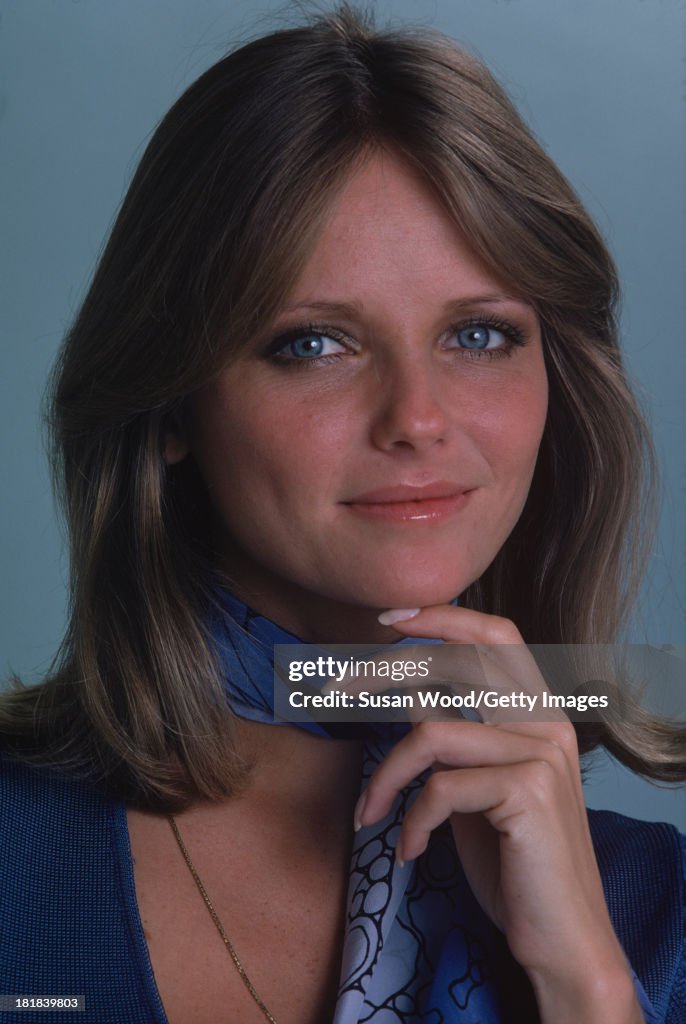 Portrait Of Cheryl Tiegs