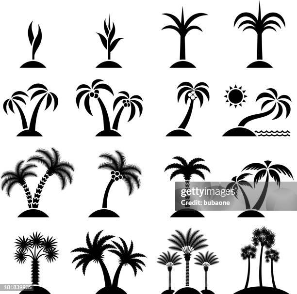 tropischer baum sammlung schwarz & weiß vektor icon-set - einsame insel stock-grafiken, -clipart, -cartoons und -symbole