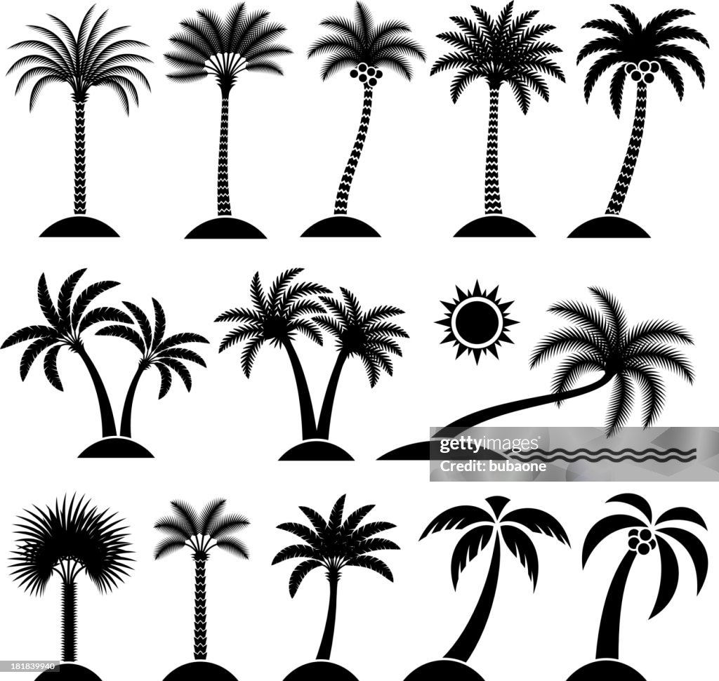 Palm Tree Tropical vector icon set