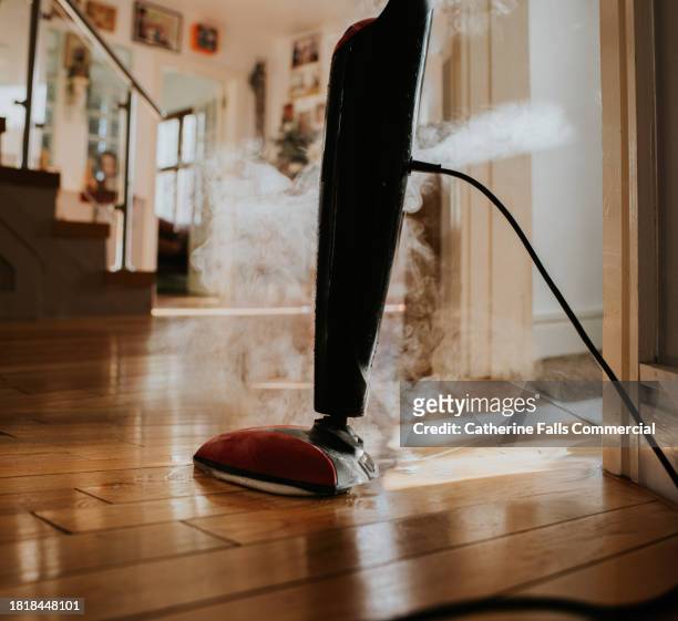 a person mops the floor using an electric steam mop - floor polisher bildbanksfoton och bilder