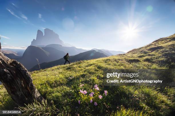 woman is hiking in the beautiful mountains. - ticino canton stock pictures, royalty-free photos & images