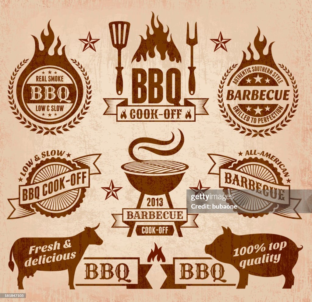 Vettore collezione di barbecue estivi icona
