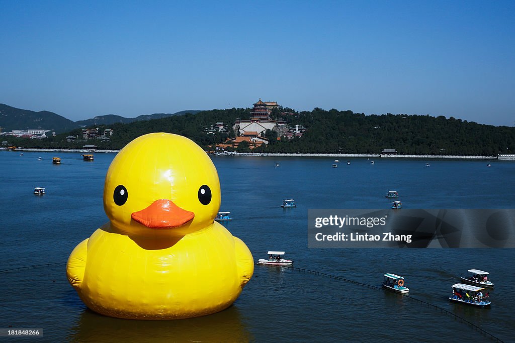 Rubber Duck Moves to Summer Palace