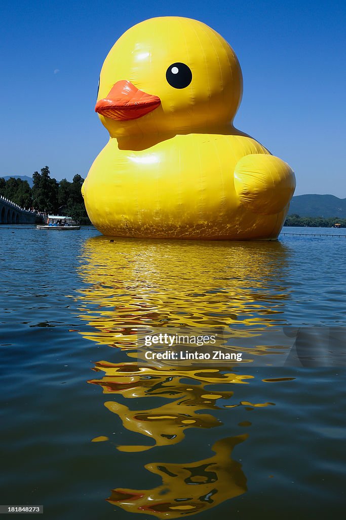 Rubber Duck Moves to Summer Palace