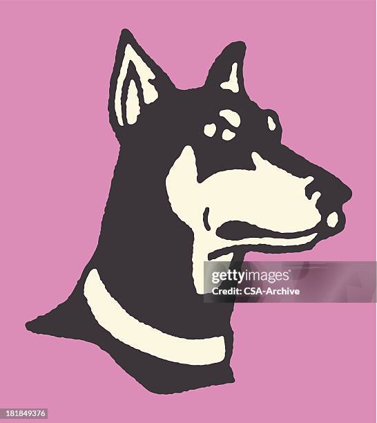 doberman pinscher - doberman stock illustrations