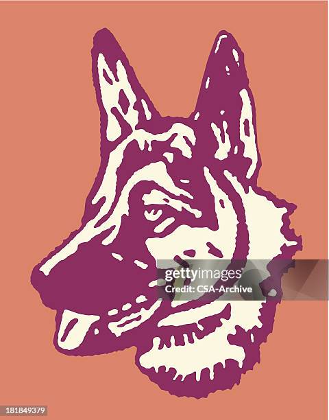 german shepherd - police dog stock illustrations