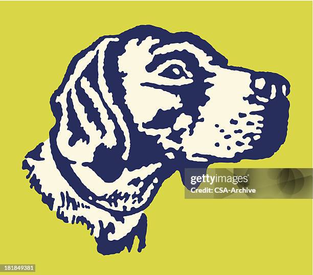 ilustraciones, imágenes clip art, dibujos animados e iconos de stock de perro cazador - perro de caza