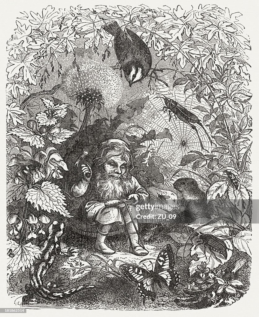 The Gnom, a fairy tale, wood engraving, published in 1873