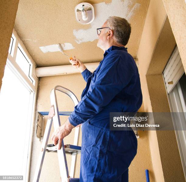 Painting Using Ladder Painter Carrying Ladder Photos and Premium High Res Pictures - Getty Images