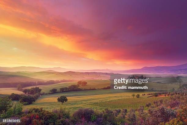 farm in tuscany at dawn - sunset stockfoto's en -beelden
